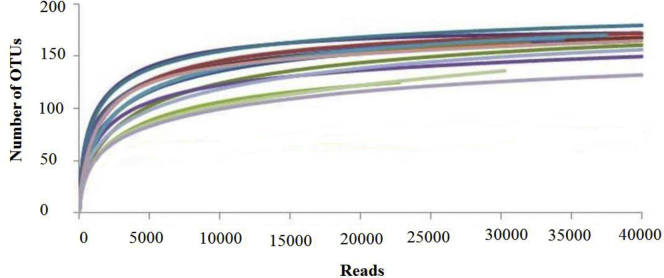 Supplementary Figure 1