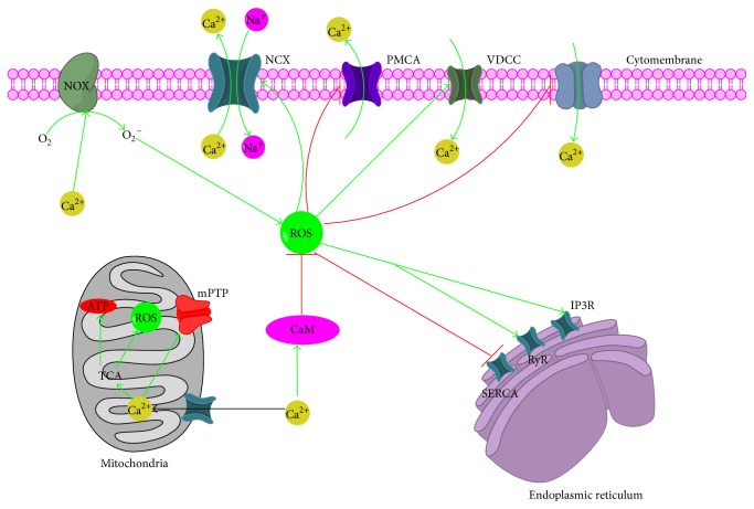 Figure 6