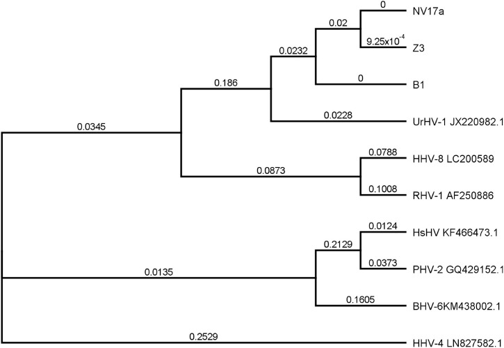 Fig. 6