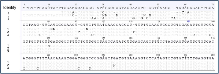 Fig. 9