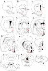 Supplementary Fig. S1