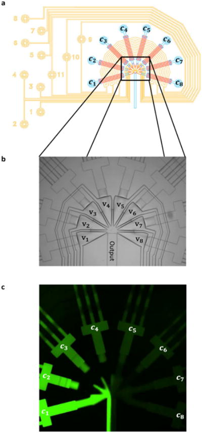 Fig. 2