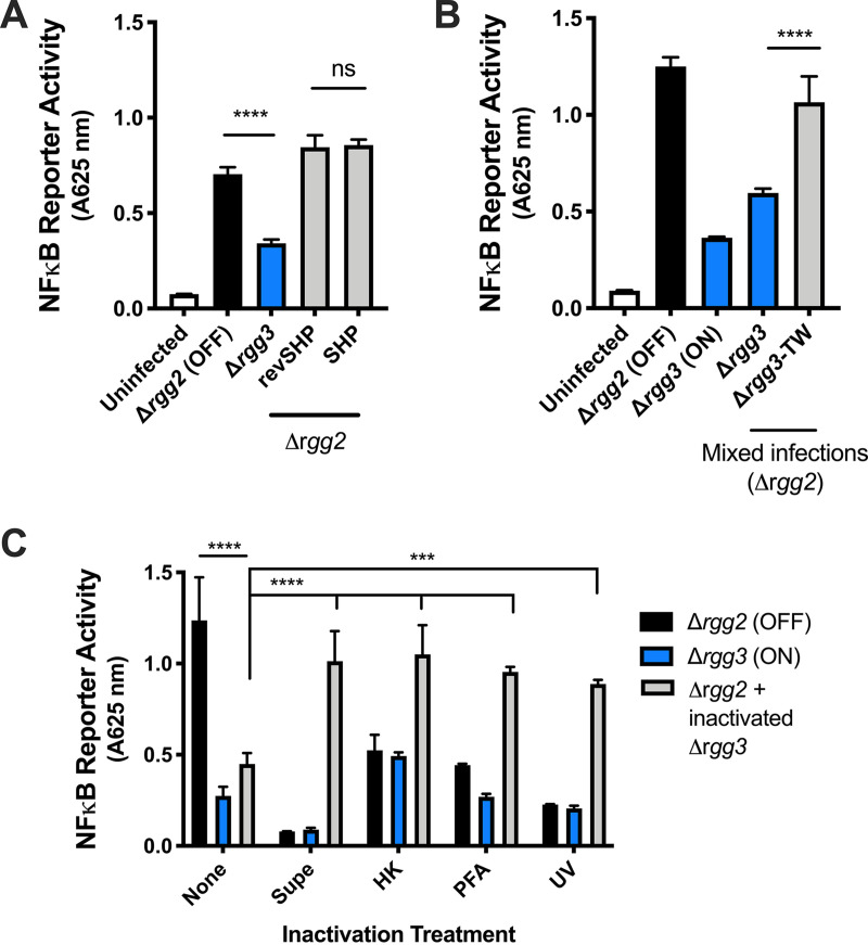 FIG 3