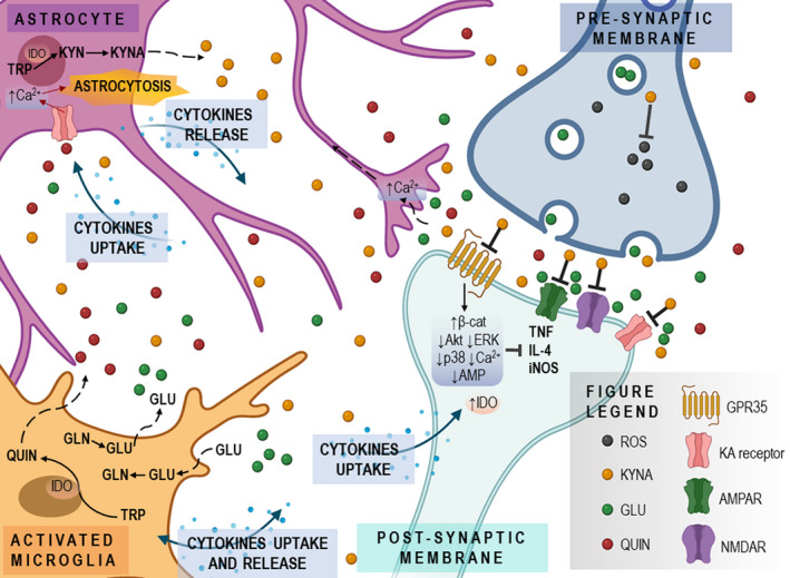 FIGURE 3