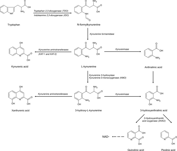 FIGURE 1