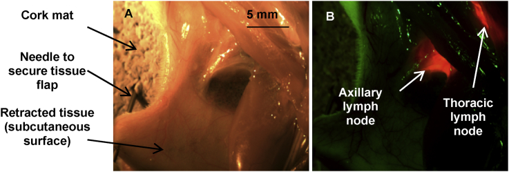 Fig. 3