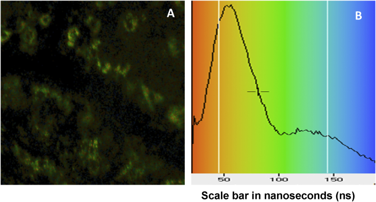 Fig. 9