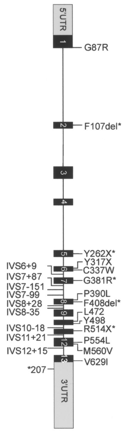 Figure  1