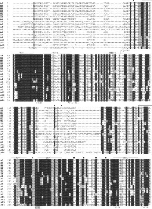 Figure  2