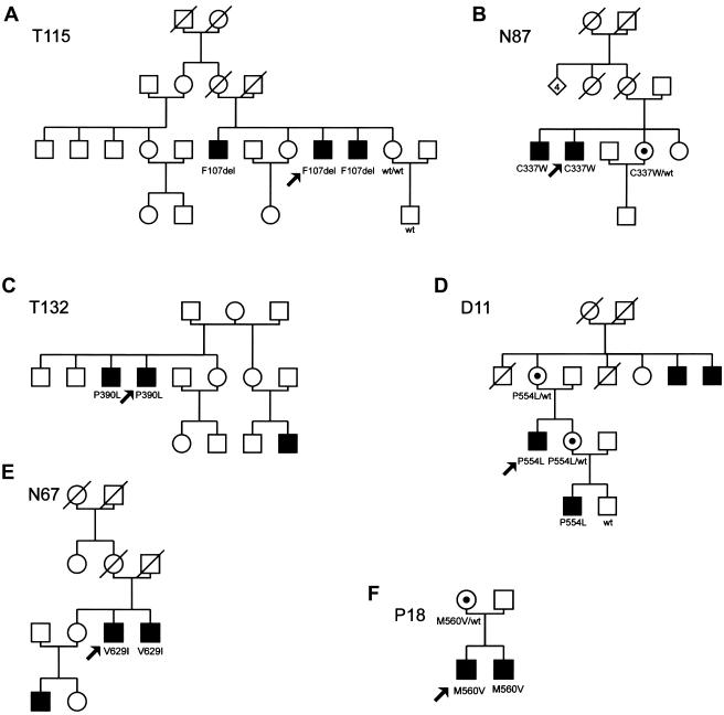 Figure  3