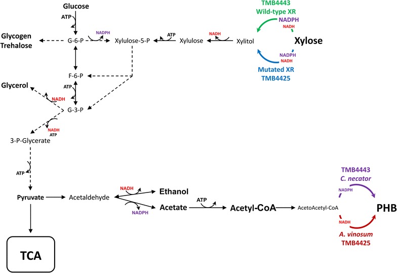 Fig. 1