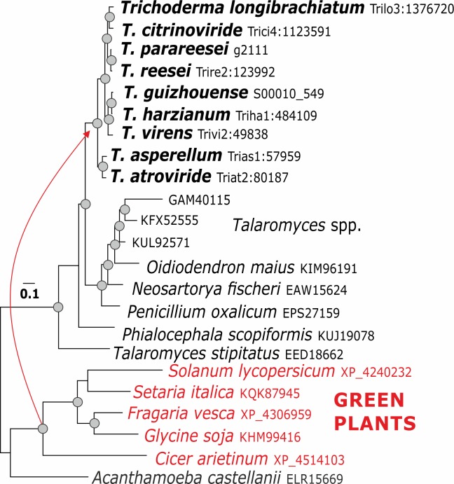 Fig 5