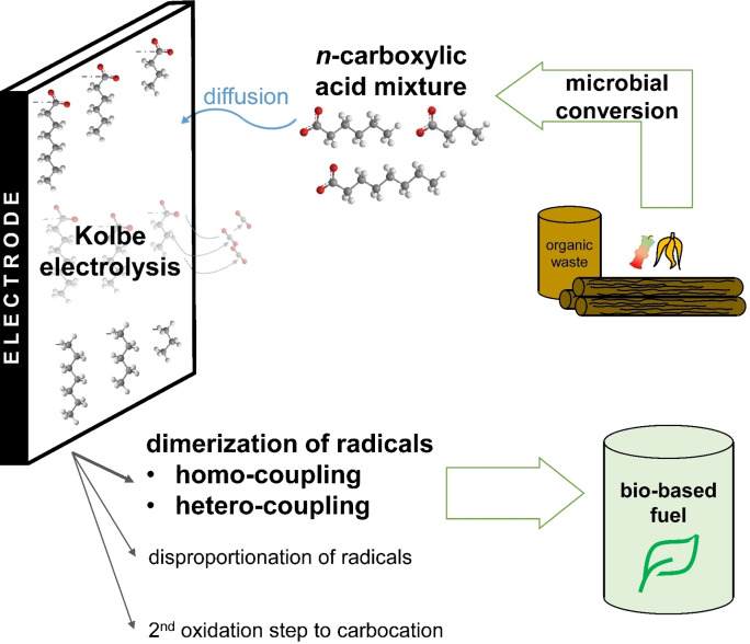 graphic file with name CSSC-15-0-g005.jpg