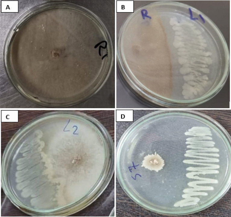 Figure 5