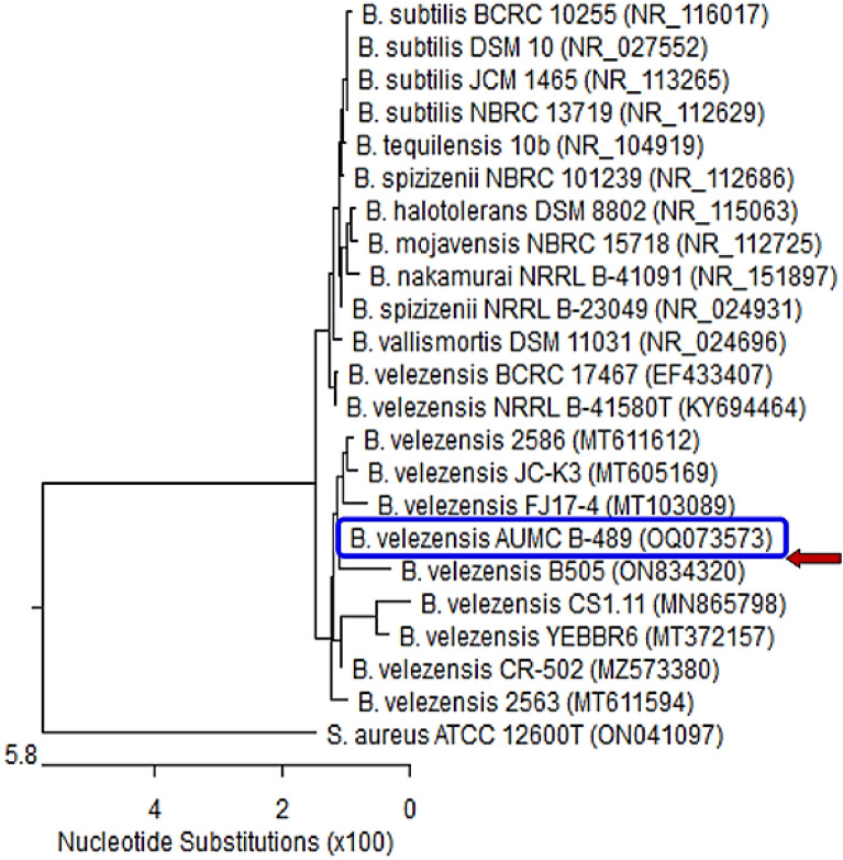 Figure 2