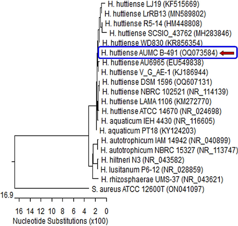 Figure 4