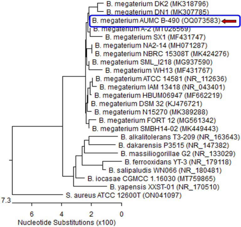 Figure 3