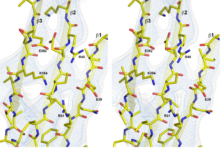 Figure 2—figure supplement 5.