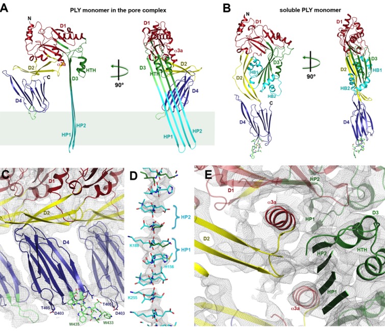 Figure 2.