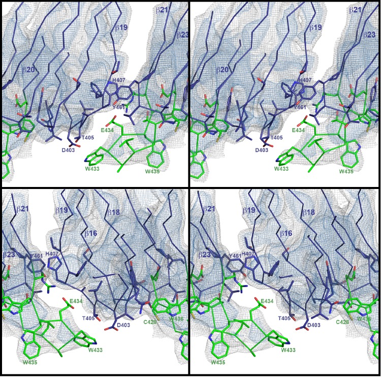 Figure 2—figure supplement 3.