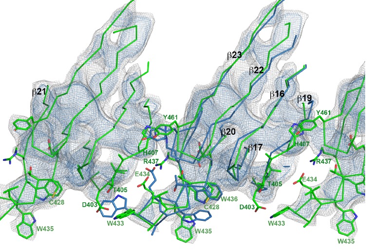 Figure 2—figure supplement 2.