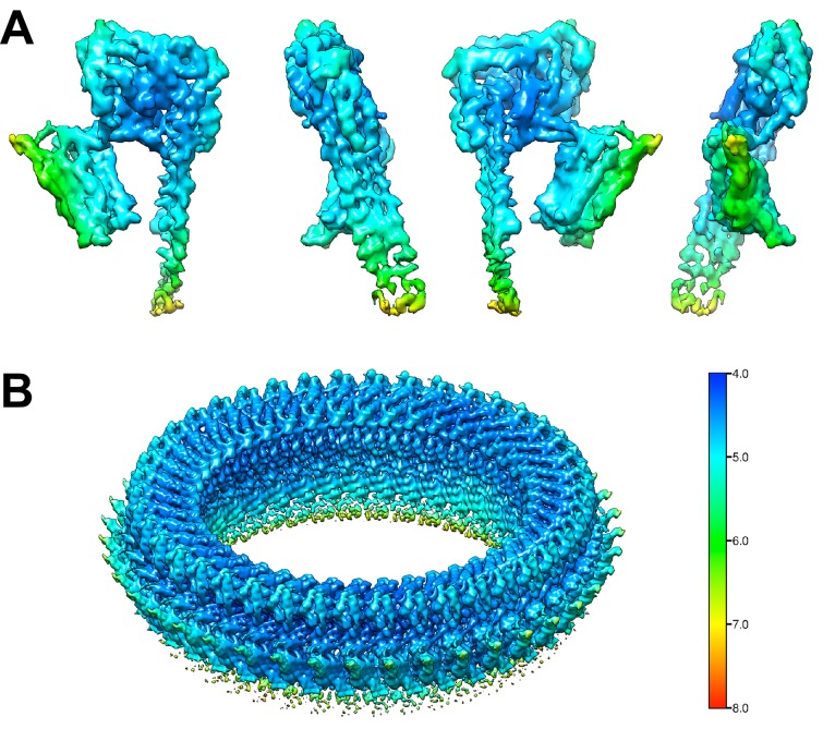 Figure 1—figure supplement 3.