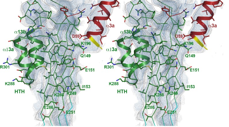 Figure 2—figure supplement 4.