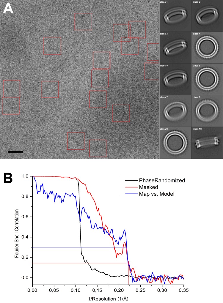 Figure 1—figure supplement 2.