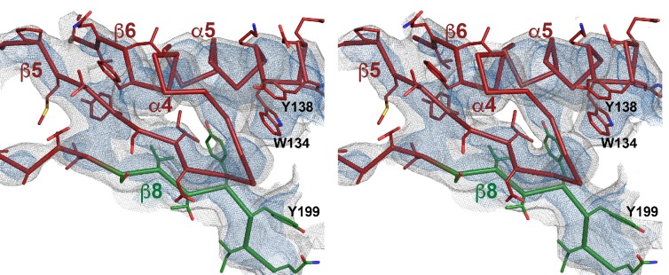 Figure 2—figure supplement 1.