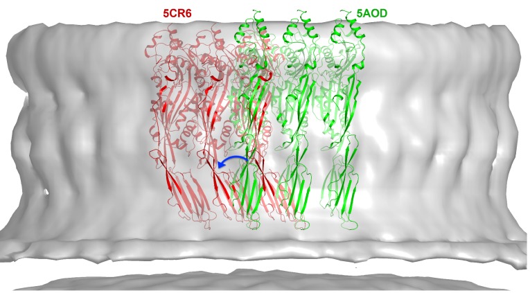 Figure 6—figure supplement 1.