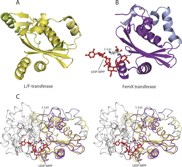 Figure 4.