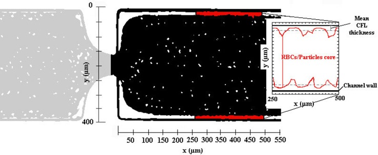 FIG. 2.