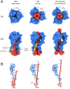 Fig. 1.