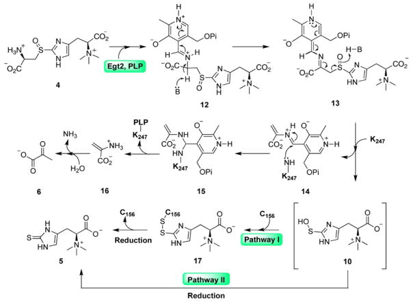 Fig. 6