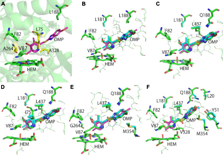 Figure 2