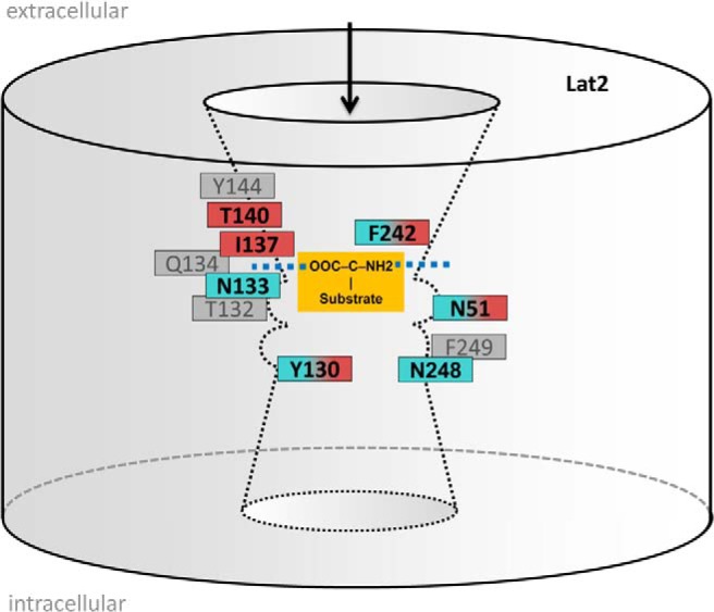 Figure 5.