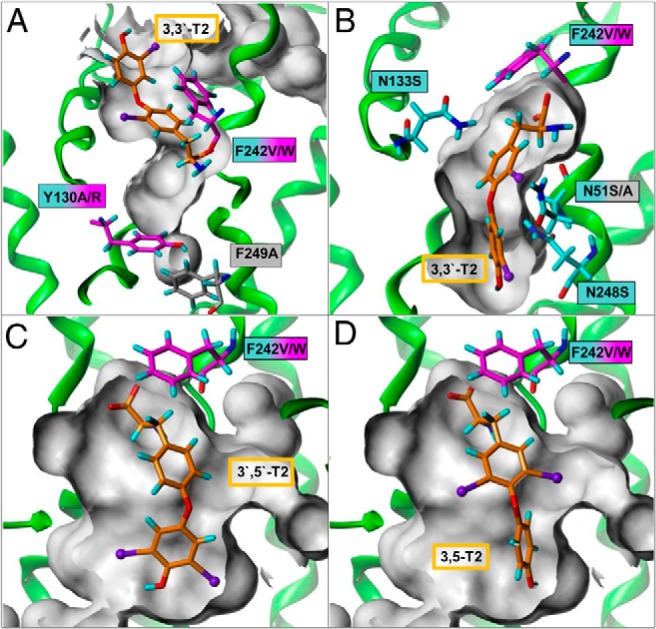 Figure 3.