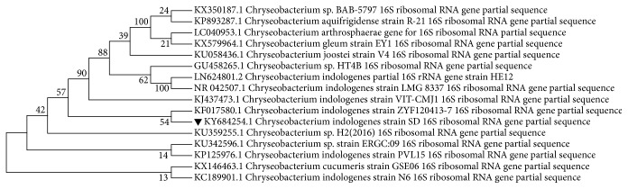 Figure 2