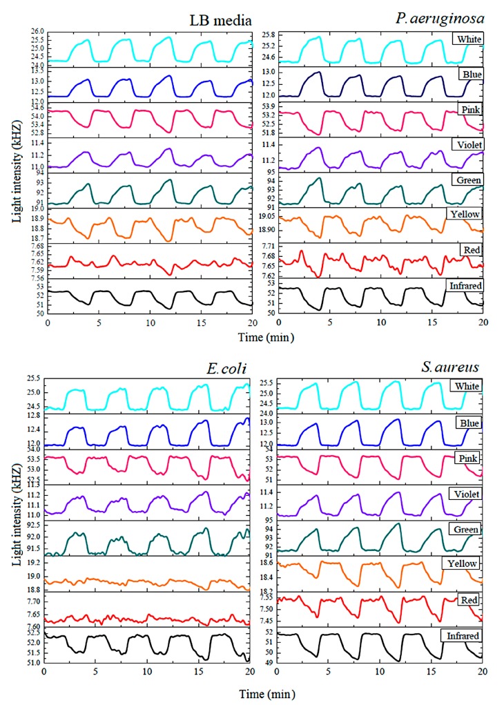 Figure 7