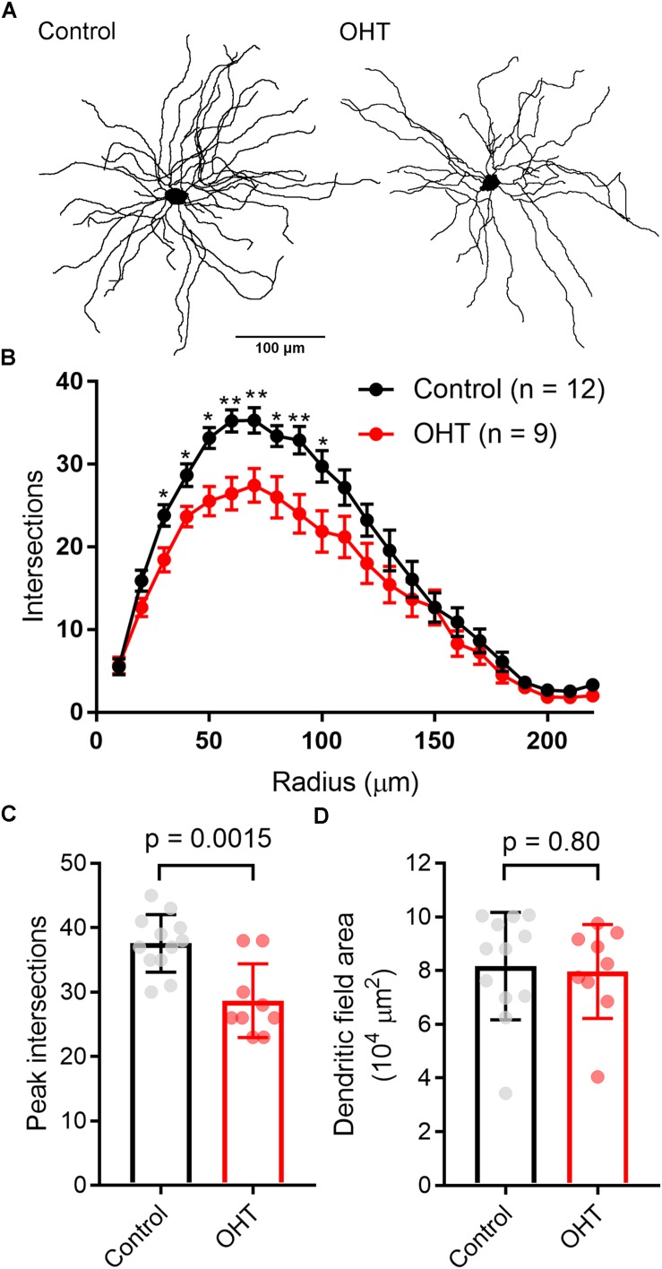 FIGURE 9