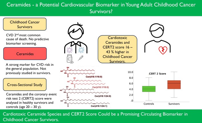 Graphical Abstract