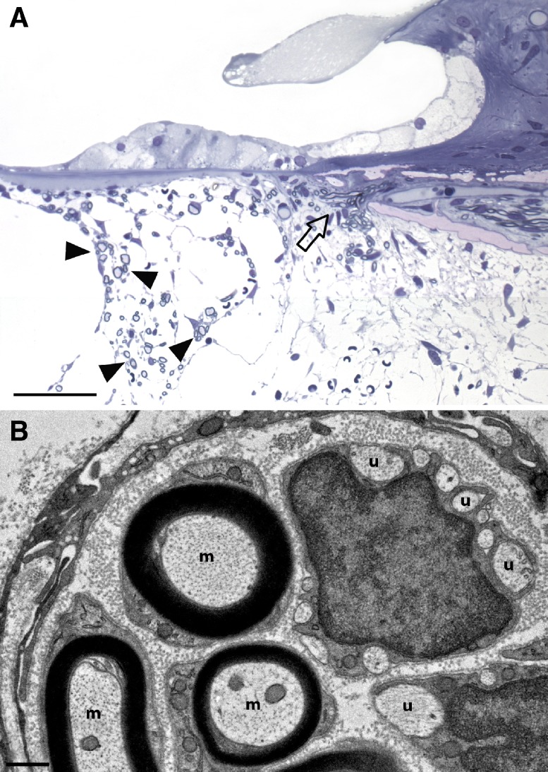 FIG. 8