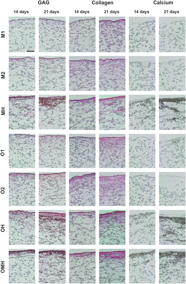 FIG. 6.