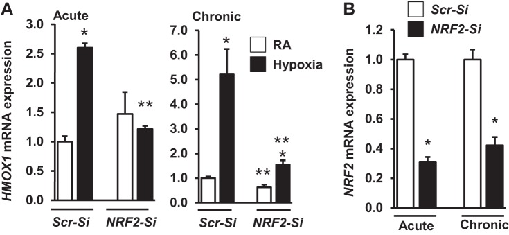 Fig. 9.