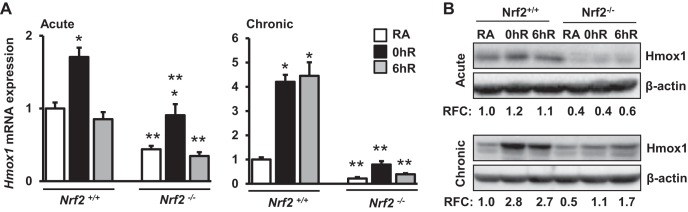 Fig. 10.