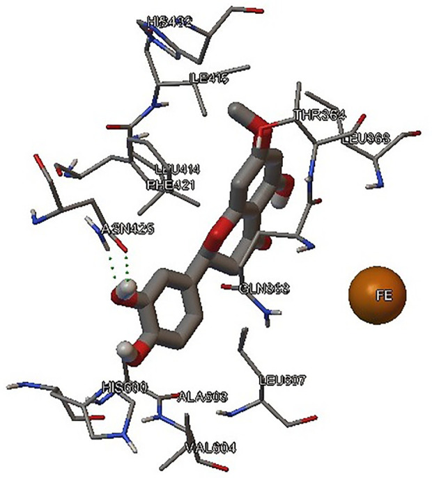 Figure 6