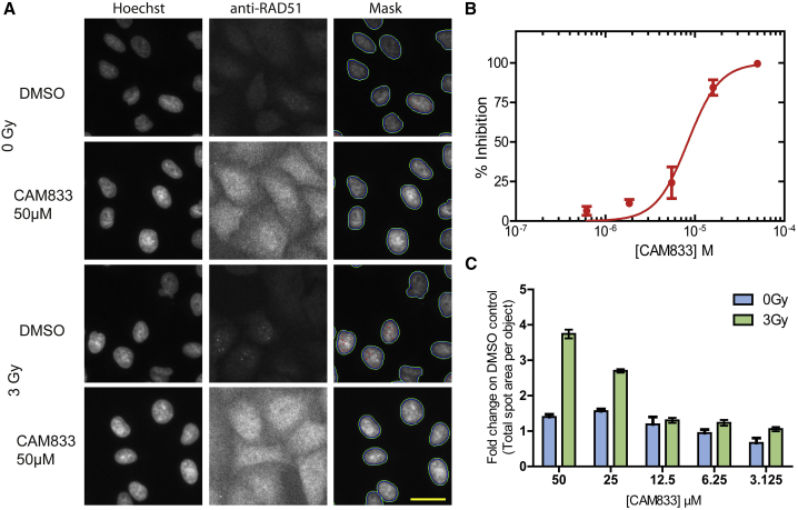 Figure 3