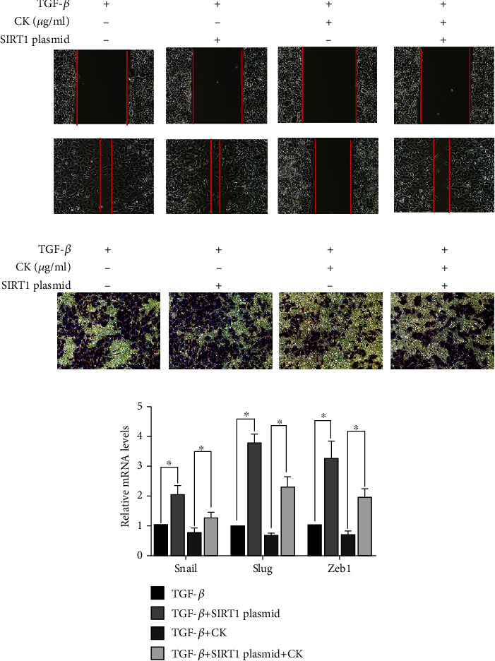 Figure 6