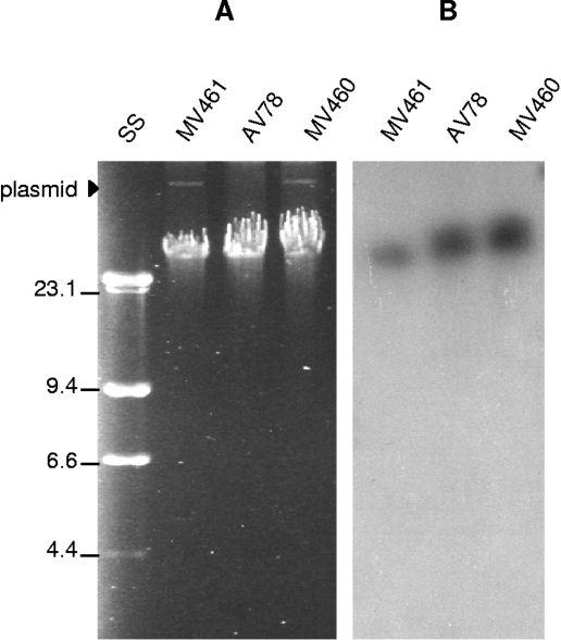 FIG. 3.