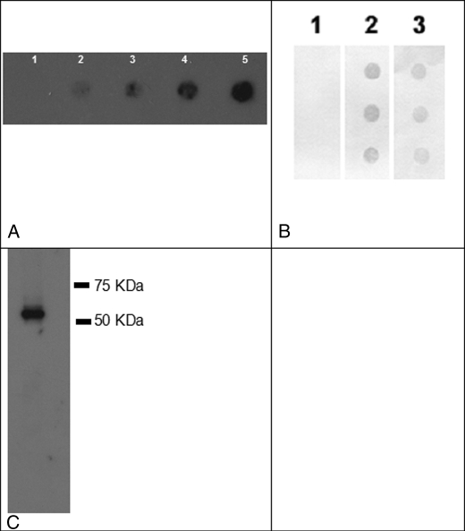 FIGURE 1.